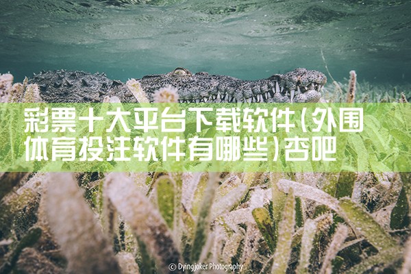 彩票十大平台下载软件|杏吧