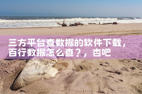 三方平台查数据的软件下载|杏吧